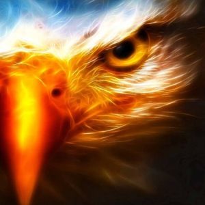 Meet your Posher, Luke